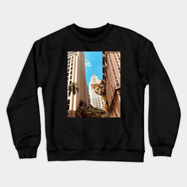 Sao Paulo Crewneck Sweatshirt by mrmattmccarthy